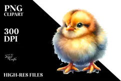 Baby Chicken, Transparent PNG Product Image 2