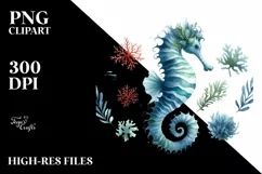Sea Horse Watercolor Clipart Product Image 1