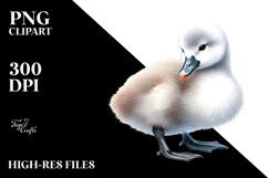 Baby Swan with Big Eyes PNG Product Image 2