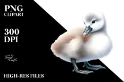 Baby Swan with Big Eyes PNG Product Image 2