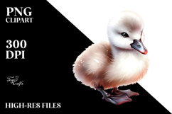 Baby Swan with Big Eyes PNG Product Image 2