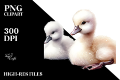 Cute Baby Swan PNG Product Image 2