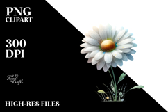 Daisy with Watercolor Splash PNG Product Image 2