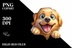 Crazy Looking Golden Retriever Wall Crack | Clipart Product Image 1