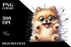 Crazy Funny Pomeranian Art | Sublimation | Clipart Product Image 1