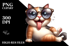 Sassy Cat with Sunglasses Product Image 2