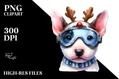 Small Body Bull Terrier PNG Product Image 3