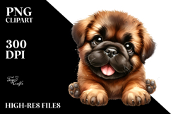 Happy Baby Bullmastiff, Clipart PNG Product Image 2