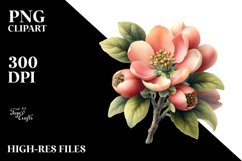 Watercolor Quince Clipart Product Image 1