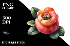 Watercolor Quince Clipart Product Image 3