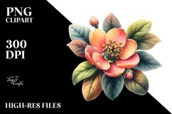Watercolor Quince Clipart Product Image 1