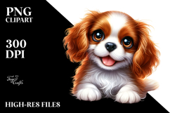 Happy Baby Cavalier King Charles Spaniel PNG Product Image 2