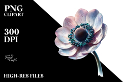 Anemone Made of PNG Product Image 2