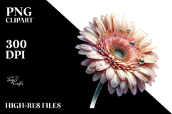 Gerbera Watercolor Splash PNG Product Image 2