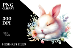 Pastel Sleeping Bunny | Clipart Product Image 2