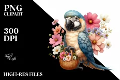 Cute Colorful Baby Macaw with Cosmos Bouquet Product Image 1