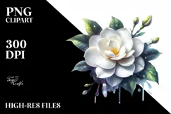 Round Glossy Shiny Gardenia Watercolor Flower | Sublimation Product Image 1