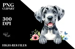 Cute Happy Great Dane PNG Product Image 2