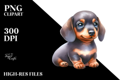 Expressive Baby Dachshund PNG Product Image 2