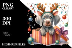 Extremely Expressive Baby Weimaraner PNG Product Image 1