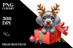 Extremely Expressive Baby Weimaraner PNG Product Image 3