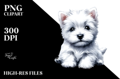 Expressive Havanese PNG Product Image 2
