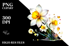 Daffodil Watercolor Splash PNG Product Image 2