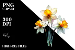 Daffodil with Golden Insertions, High-Res PNG Product Image 2
