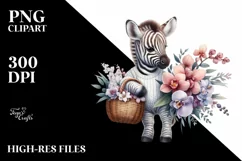 Cute Baby Zebra with Flower Basket | Orchid Bouquet Product Image 1
