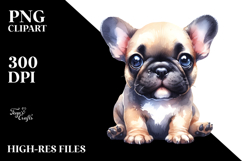 Adorable French Bulldog PNG Product Image 2