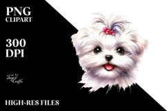 Baby Maltese PNG Product Image 2