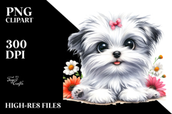 Baby Maltese PNG Product Image 2