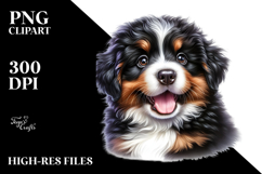 Happy Bernese Mountain Dog Baby PNG Product Image 2