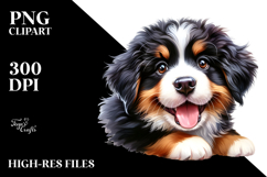Happy Bernese Mountain Dog Baby PNG Product Image 2