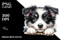 Happy Border Collie Puppy PNG Product Image 2