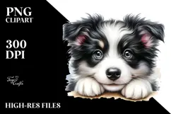 Happy Border Collie Puppy PNG Product Image 2