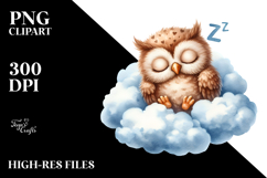 Sleeping Baby Owl Summer Sticker Clipart Product Image 2