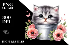 Cute Baby Cat, Transparent PNG Product Image 2