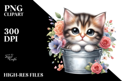 Cute Baby Cat, Transparent PNG Product Image 2