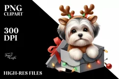 Expressive Baby Havanese Watercolor PNG Product Image 3