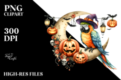 Parrot Dressed for Halloween PNG Product Image 2