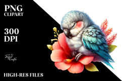 Sleeping Baby Parrot PNG Product Image 2