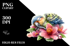 Sleeping Baby Parrot PNG Product Image 2
