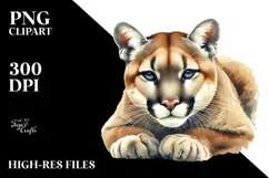 Watercolor Low Detail Cougar Clipart Product Image 1