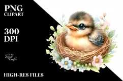 High Detail Baby Bird PNG Product Image 3