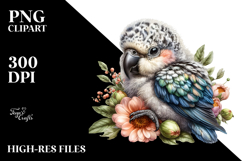 Sleeping Baby Parrot PNG Product Image 2