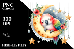 Vibrant Cute Parrot Moon Stars Boho Watercolor Clipart Product Image 2