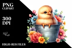 Colorful Baby Chicken in Bucket | Clipart Product Image 3