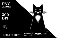 Funny Black Cat PNG Product Image 1