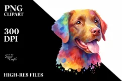 Colorful Chesapeake Bay Retriever | Sublimation | PNG Product Image 3